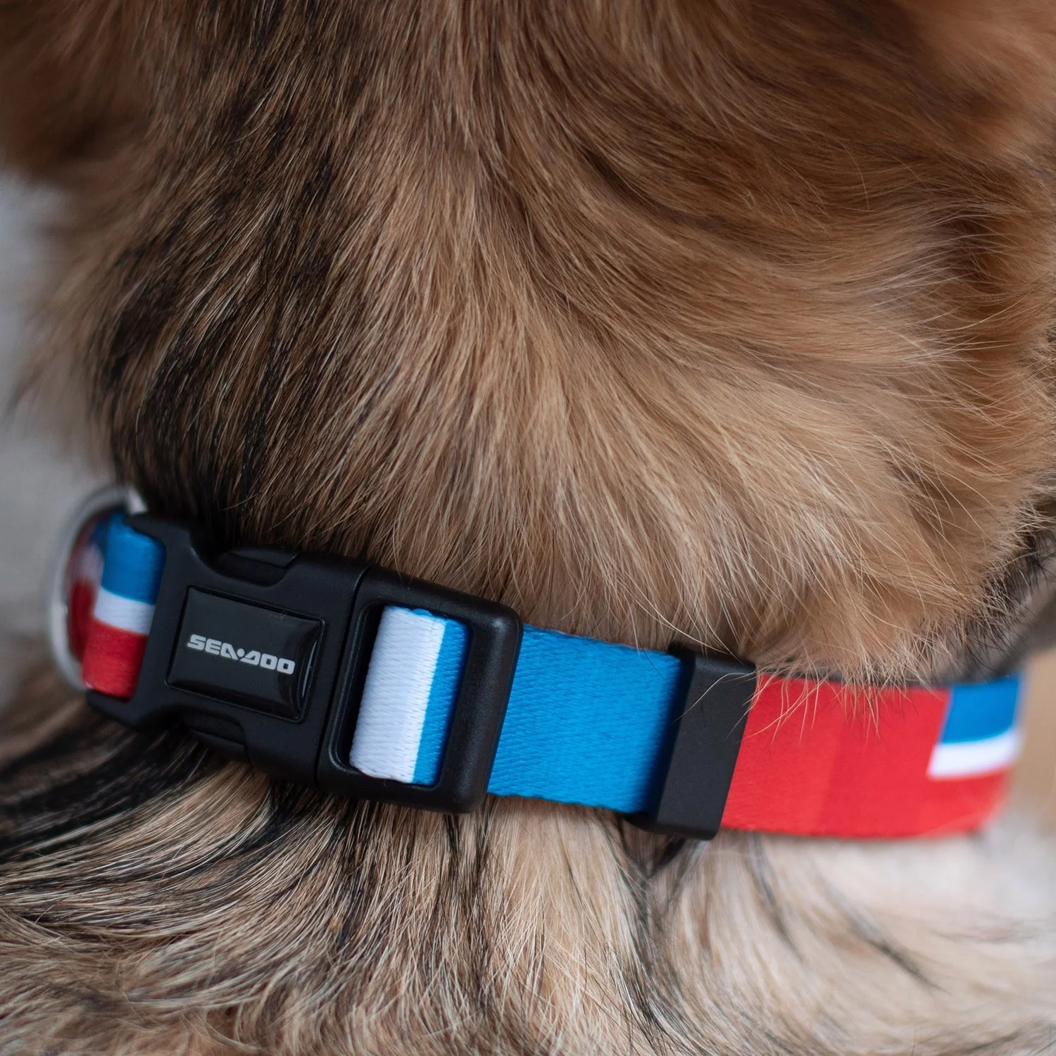 BRP Dog Leashes And Collar (Medium Dogs) - Image 5