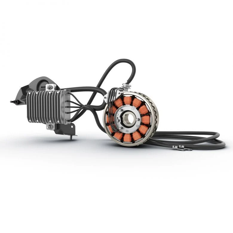 Can-Am 850 W Magneto Kit