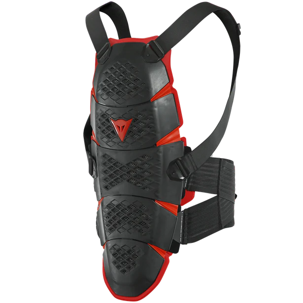 Dainese Pro-Speed Back Protection