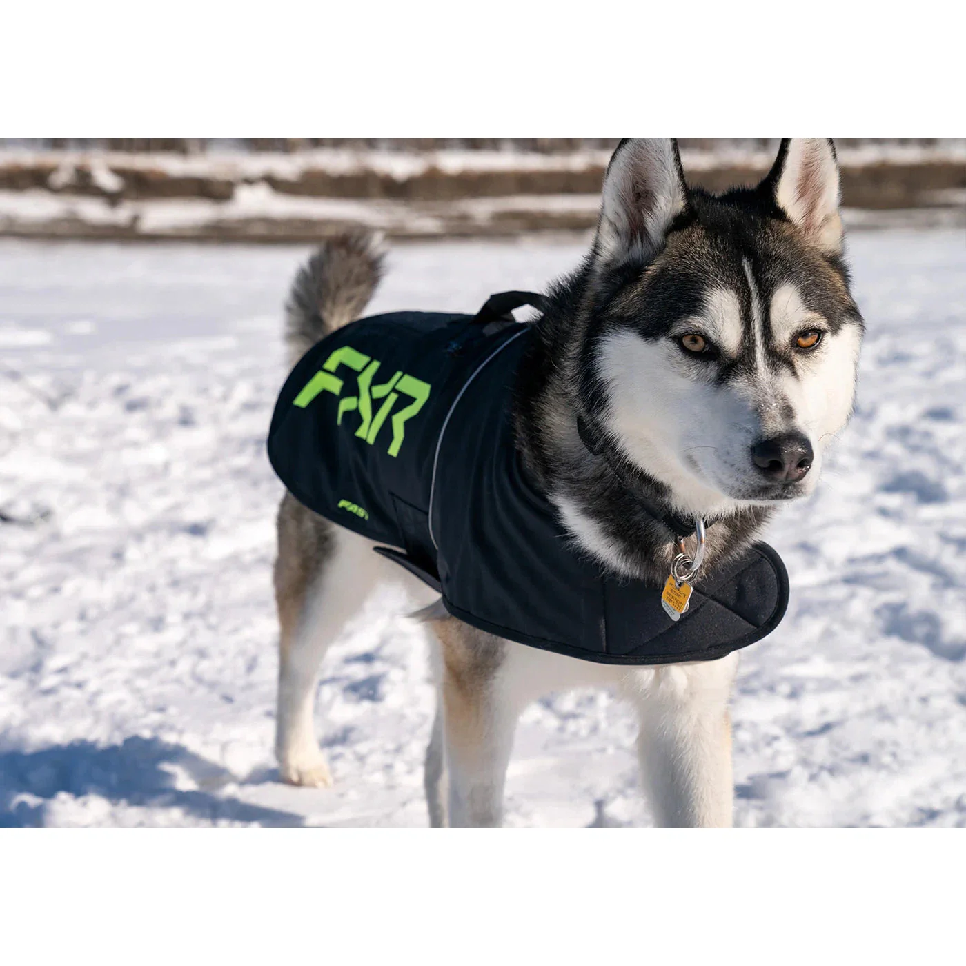 FXR CX Dog Coat - Image 4