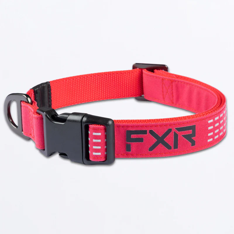 FXR Dog Collar - Image 2