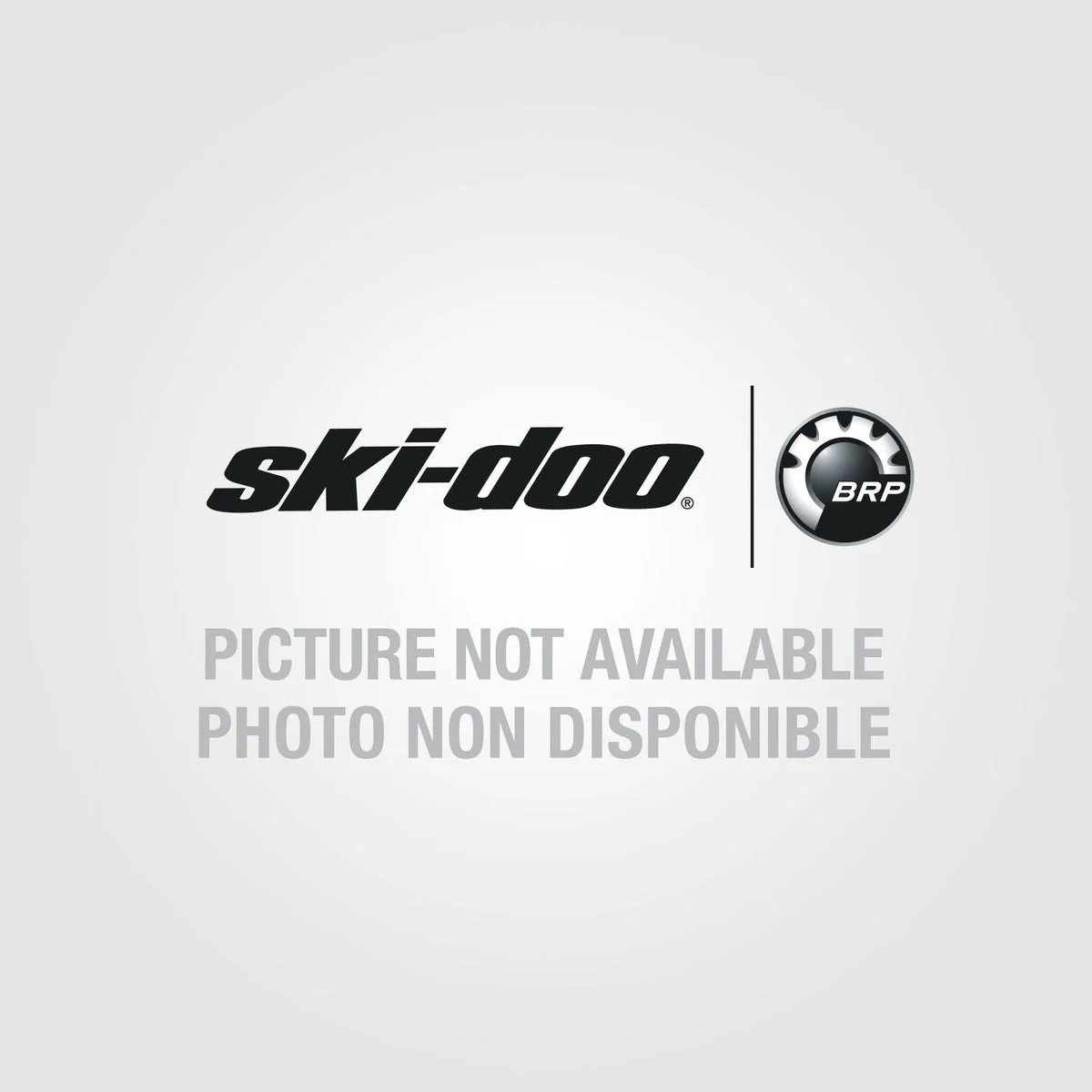 Ski-Doo Maverick Carbides