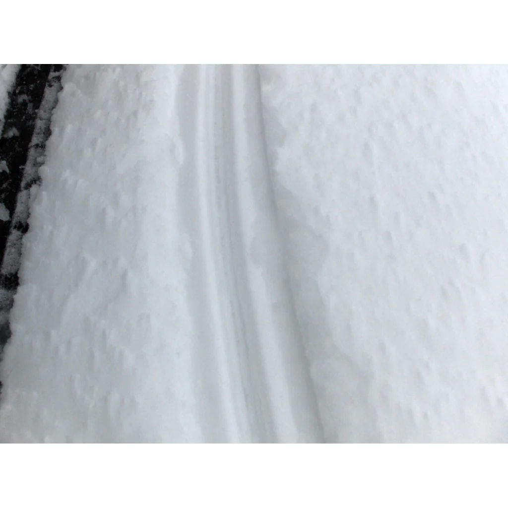 SnowTracker Semi-Aggressive Runners | Polaris - Image 5